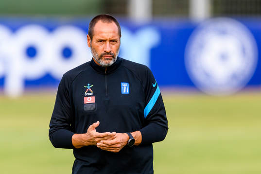 Head coach John vant Schip of the Greek national football