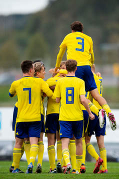 Sverige jublar