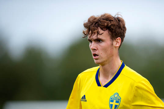 Sveriges Williot Swedberg