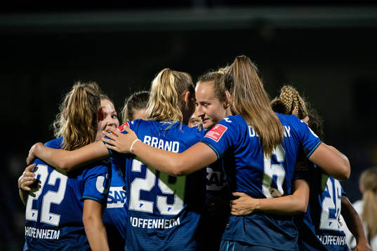 Players of Hoffenheim celebrate