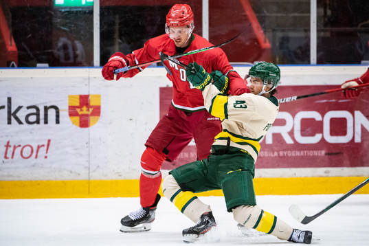 Modos David Bernhardt och Björklövens Alexander Popovic