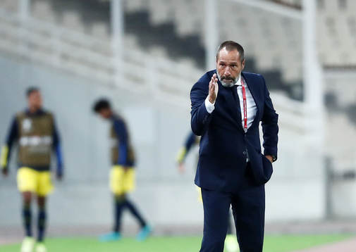 Gead coach John vant Schip of Greece
