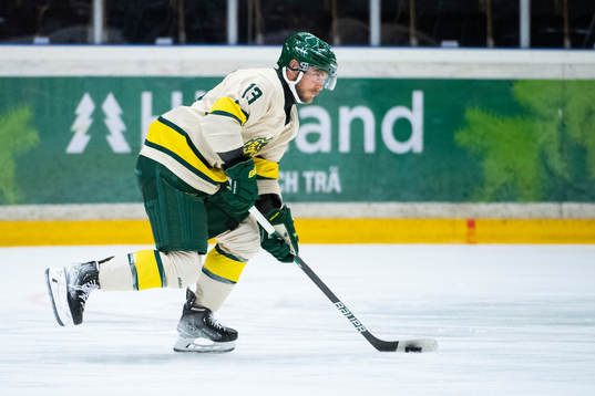 Björklövens Fredric Andersson