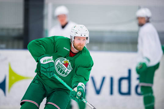 Ted Brithén
