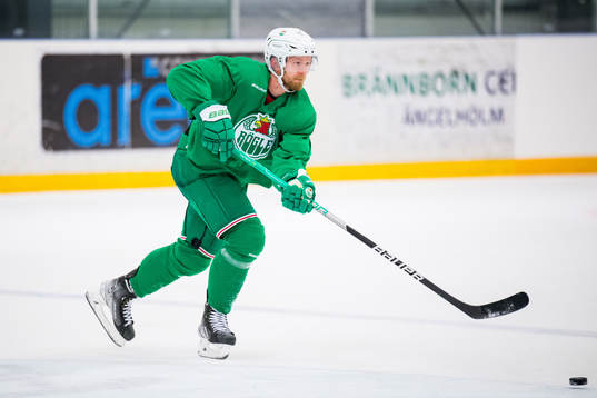 Ted Brithén