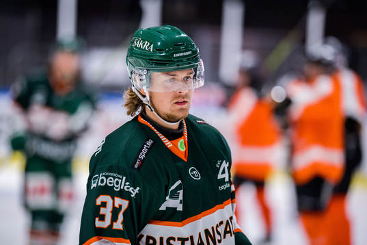 Kristianstads Gustav Bouramman