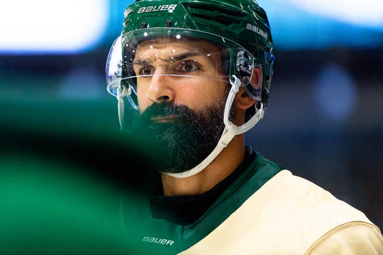 Björklövens Daniel Rahimi