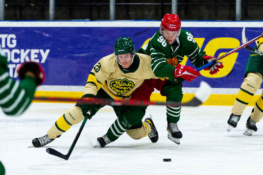 Björklövens Adam Plant och Moras Lukas Wernblom