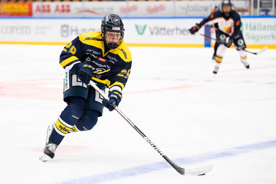 s Felizia Wikner-Zienkiewicz