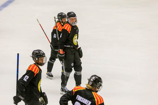 Brynäs Fanny Brolin, Brynäs Denisa Krizova, Brynäs Rosa