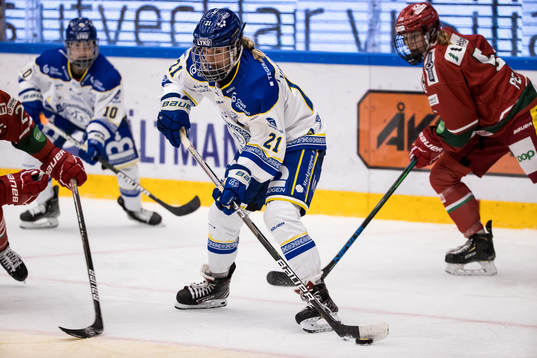 Leksands Tereza Vanisova