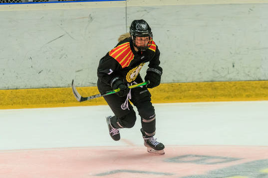 Brynäs Jaycee Gebhard