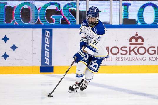 Leksands Tereza Vanisova