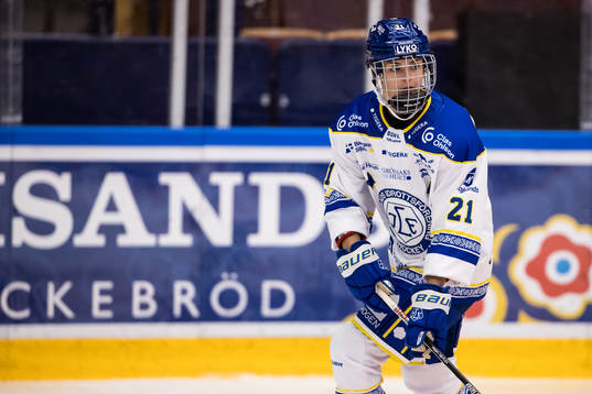 Leksands Tereza Vanisova