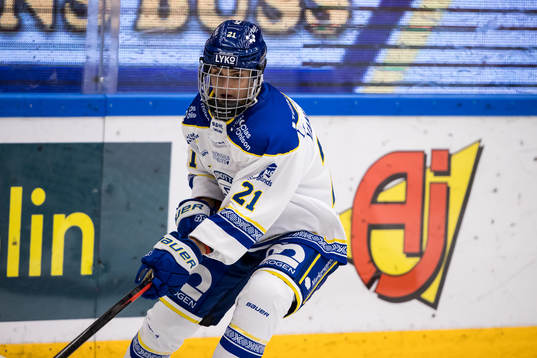 Leksands Tereza Vanisova