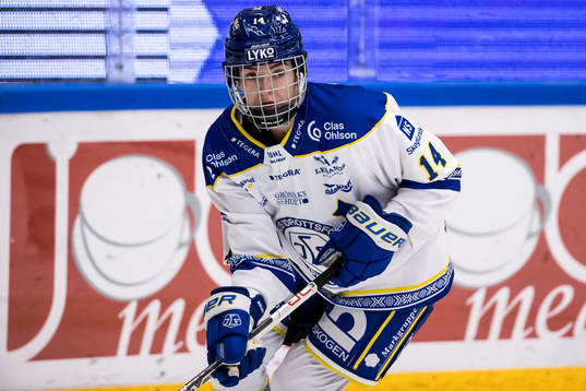 Leksands Payge Pena
