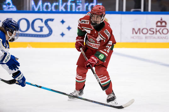 Modos Ebba Hedquist