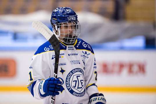 Leksands Tereza Vanisova