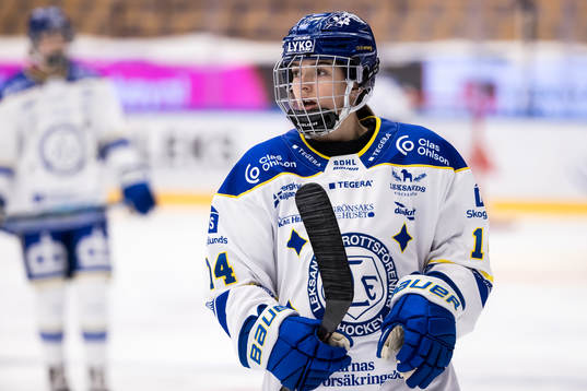 Leksands Payge Pena