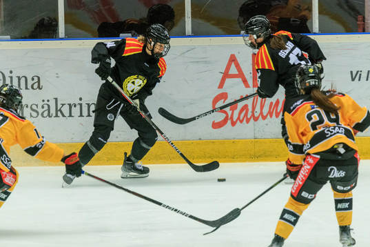 Brynäs Anna Meixner