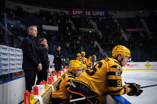 Skellefteås tränare Robert Ohlsson