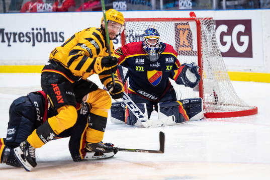 Djurgårdens målvakt Niklas Svedberg