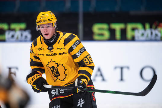 Skellefteås Rickard Hugg