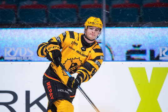 Skellefteås Stefan Loibl