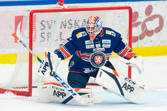 Växjös målvakt Janis Kalnins