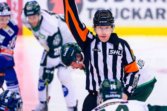 Domare Mikael Holm