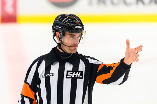 Domare Richard Magnusson