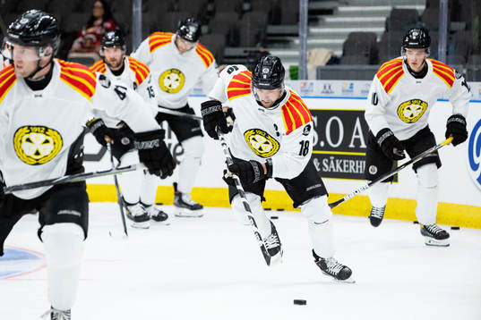 Brynäs Anton Rödin