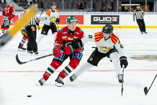 Frölundas Teodor Niederbach och Brynäs Greg Scott