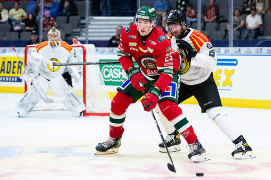 Frölundas Elmer Söderblom och Brynäs Simon Bertilsson