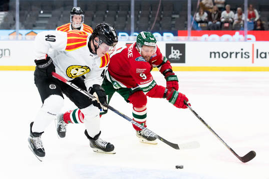 Brynäs Tomi Sallinen och Frölundas Jan Mursak