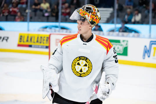 Brynäs målvakt  Veini Vehviläinen
