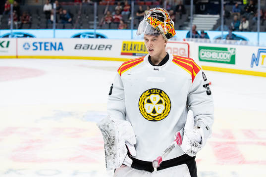 Brynäs målvakt  Veini Vehviläinen