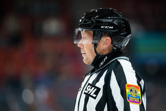 Linjedomare Henrik Pihlblad