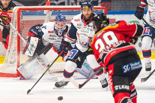 Linköpings målvakt Marcus Högberg