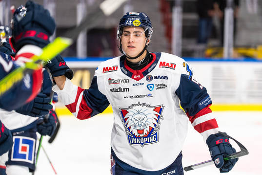 Linköpings Daniel Ljungman jublar