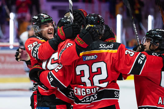 Luleås Radek Muzik jublar med lagkamrater