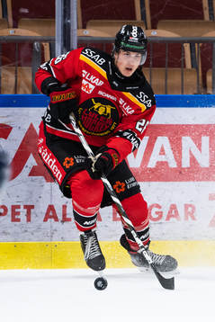 Luleås Radek Muzik