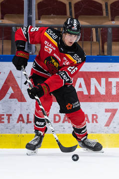 Luleås Radek Muzik