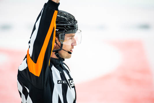 Domare Daniel Eriksson