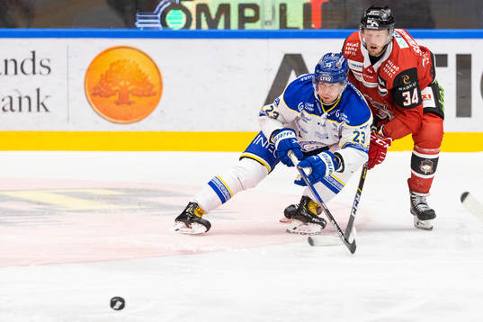 Leksands Mikael Ruohomaa och Malmö Redhawks Carl Söderberg