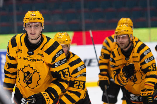 Skellefteås Stefan Loibl
