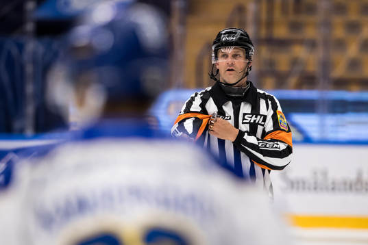 Domare Mikael Nord