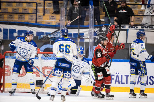 Malmö Redhawks spelarna jublar