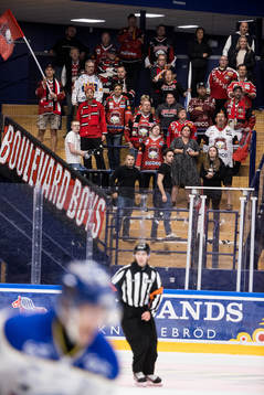 Malmö Redhawks supporters