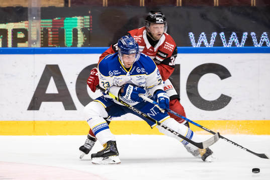 Leksands Mikael Ruohomaa och Malmö Redhawks Carl Söderberg
